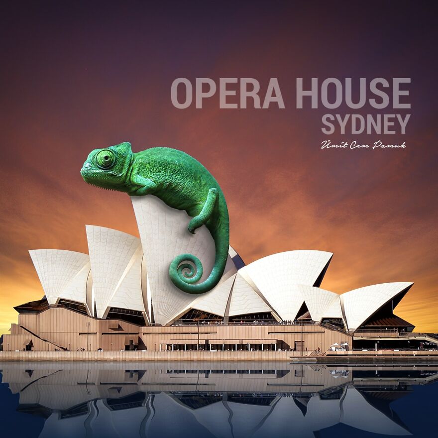 I Make Surreal Photo Manipulations Of Famous Landmarks And Animals