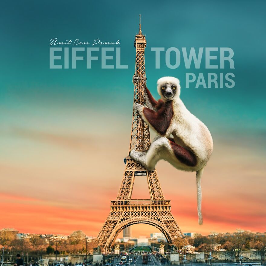 I Make Surreal Photo Manipulations Of Famous Landmarks And Animals