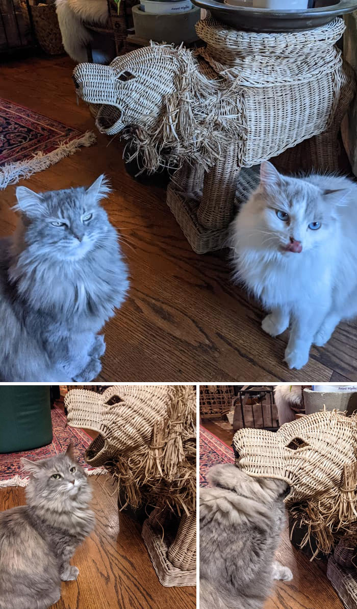 50 Times People Couldn’t Believe Their Luck In Thrift Stores (New Pics) 50 Times People Couldn’t Believe Their Luck In Thrift Stores (New Pics)