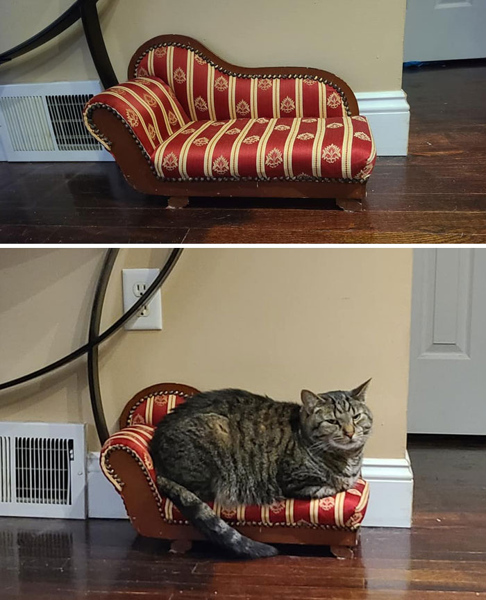 50 Times People Couldn’t Believe Their Luck In Thrift Stores (New Pics) 50 Times People Couldn’t Believe Their Luck In Thrift Stores (New Pics)