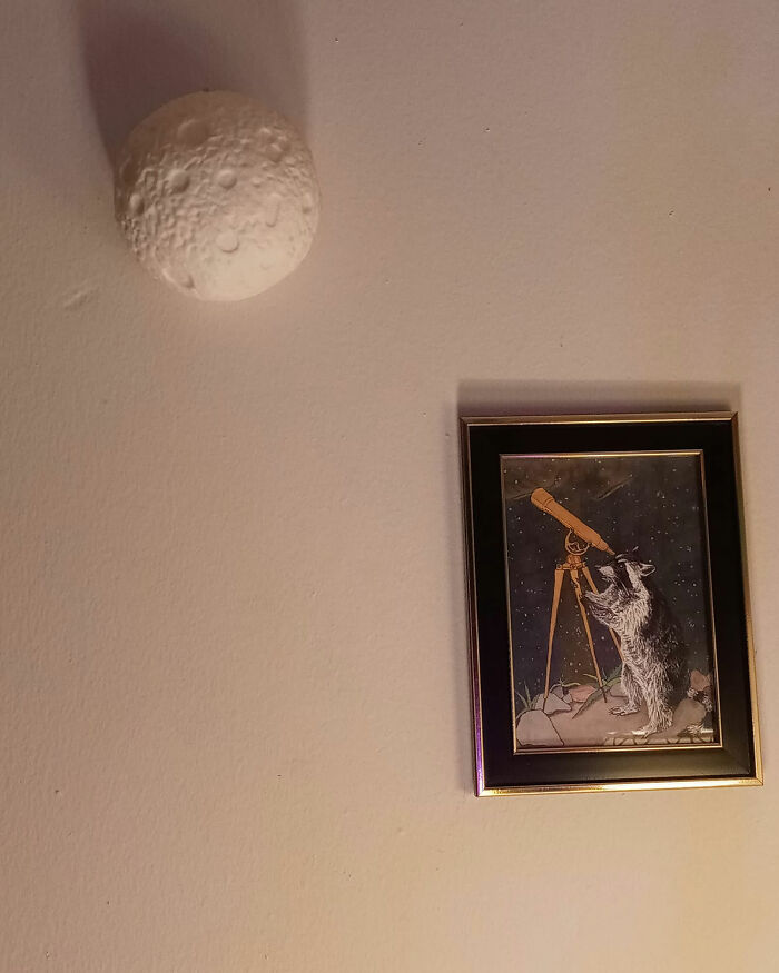 50 Times People Couldn’t Believe Their Luck In Thrift Stores (New Pics) 50 Times People Couldn’t Believe Their Luck In Thrift Stores (New Pics)