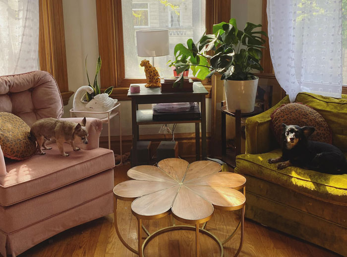 50 Times People Couldn’t Believe Their Luck In Thrift Stores (New Pics) 50 Times People Couldn’t Believe Their Luck In Thrift Stores (New Pics)