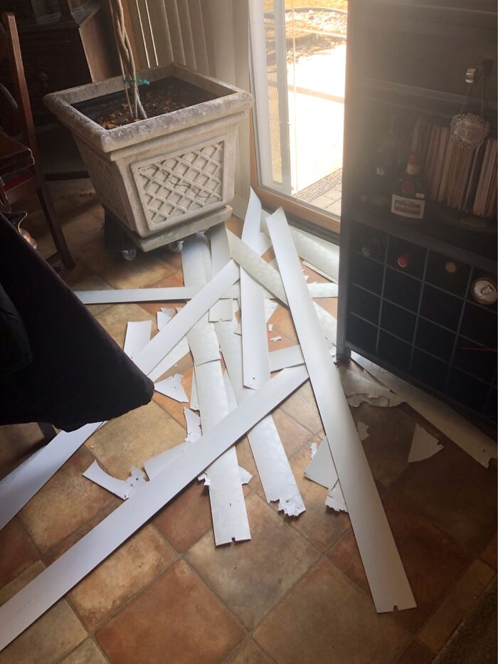 Hey Pandas, Show What &#8220;Disaster&#8221; Your Pet Caused In Your Home (Closed)