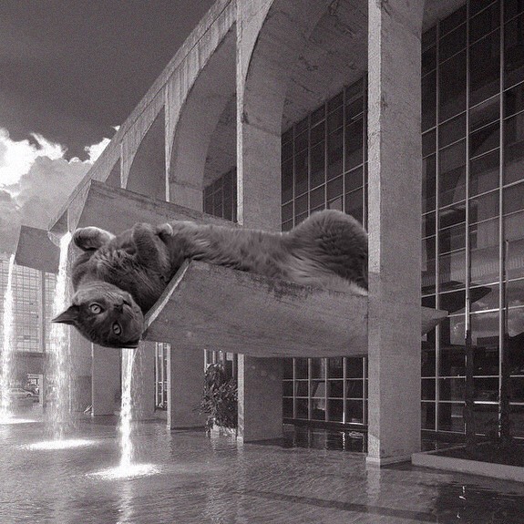 Instagram Account Combines Brutalist Architecture With Giant Cats And The Result Is Adorable (87 Pics)