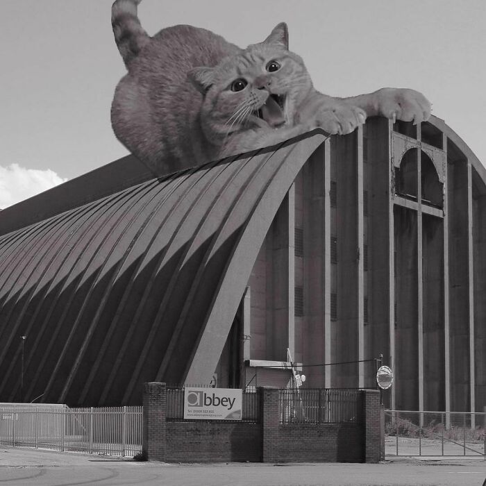 Instagram Account Combines Brutalist Architecture With Giant Cats And The Result Is Adorable (87 Pics)
