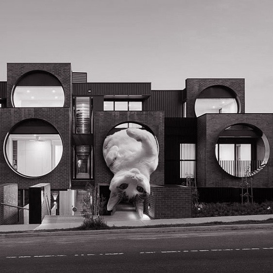 Instagram Account Combines Brutalist Architecture With Giant Cats And The Result Is Adorable (87 Pics)