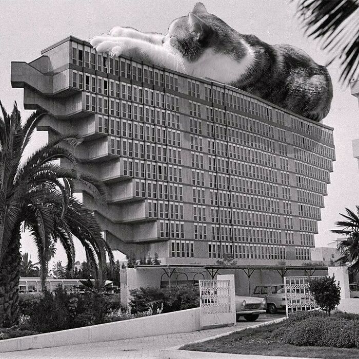 Instagram Account Combines Brutalist Architecture With Giant Cats And The Result Is Adorable (87 Pics)