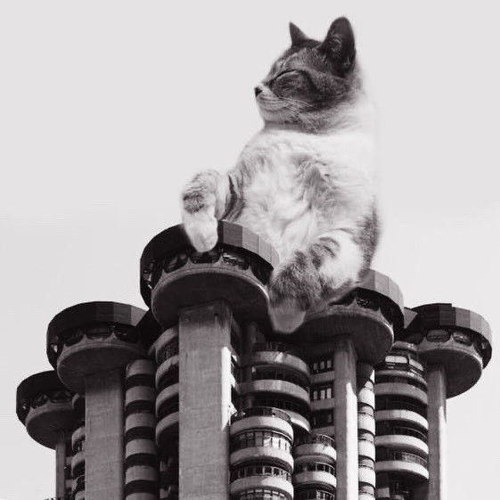 Instagram Account Combines Brutalist Architecture With Giant Cats And The Result Is Adorable (87 Pics)