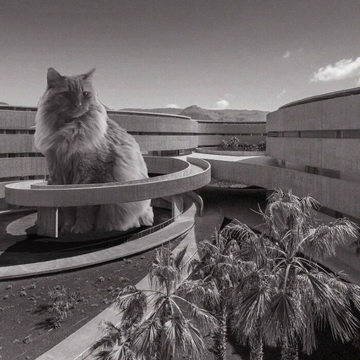 Instagram Account Combines Brutalist Architecture With Giant Cats And The Result Is Adorable (87 Pics)
