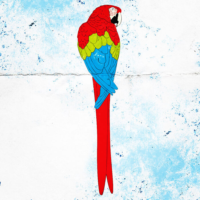 Hey Pandas, Draw A Bird And Post It Here (Closed) Hey Pandas, Draw A Bird And Post It Here (Closed)