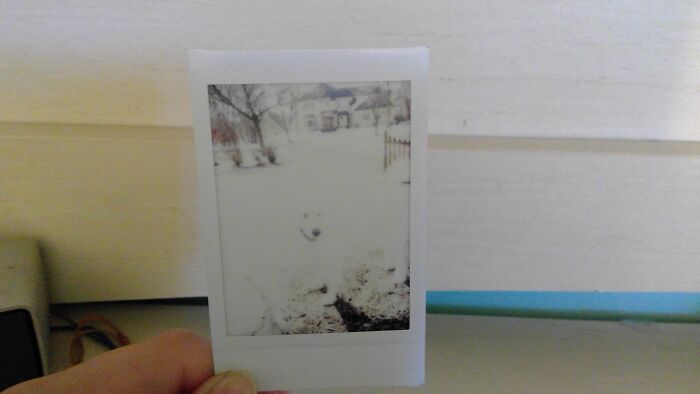 Hey Pandas, Share One Of Your Instant Film Fails (Closed) Hey Pandas, Share One Of Your Instant Film Fails (Closed)