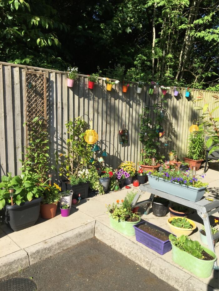 Hey Pandas, What Does Your Favorite Room In Your House Look Like? Hey Pandas, What Does Your Favorite Room In Your House Look Like?