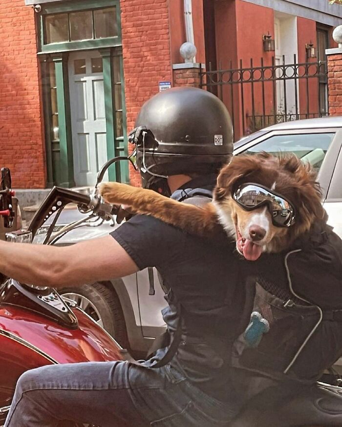 This Insta Account Showcases New York Without Sugarcoating Anything And Here&#8217;re 40 Of Their Best Pics