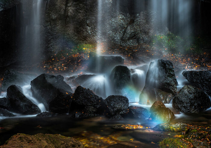 The 2021 BigPicture Natural World Photography Contest Reveals The Best Shots Of Mother Nature (30 Pics) The 2021 BigPicture Natural World Photography Contest Reveals The Best Shots Of Mother Nature (30 Pics)