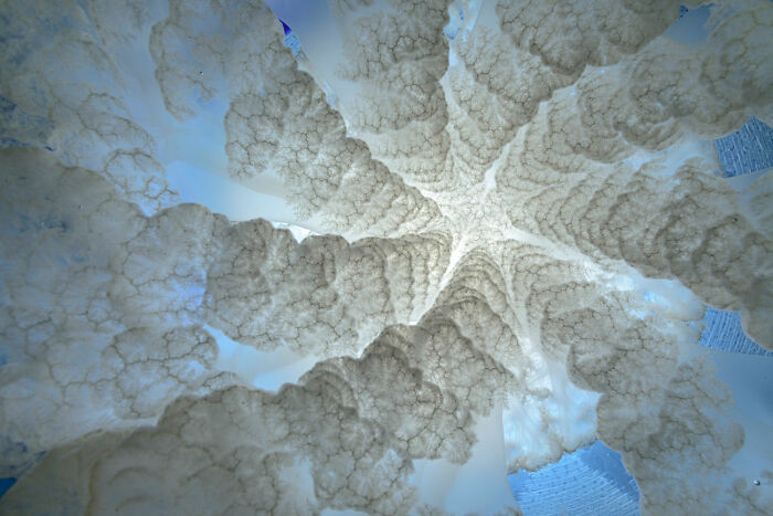 The 2021 BigPicture Natural World Photography Contest Reveals The Best Shots Of Mother Nature (30 Pics) The 2021 BigPicture Natural World Photography Contest Reveals The Best Shots Of Mother Nature (30 Pics)