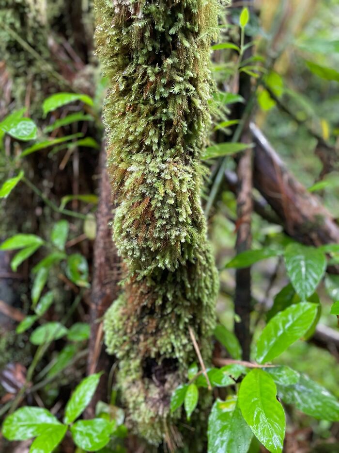 Hey Pandas, Post A Photo That You’ve Taken Of Your Favorite Type Of Flower (Closed) Hey Pandas, Post A Photo That You’ve Taken Of Your Favorite Type Of Flower (Closed)