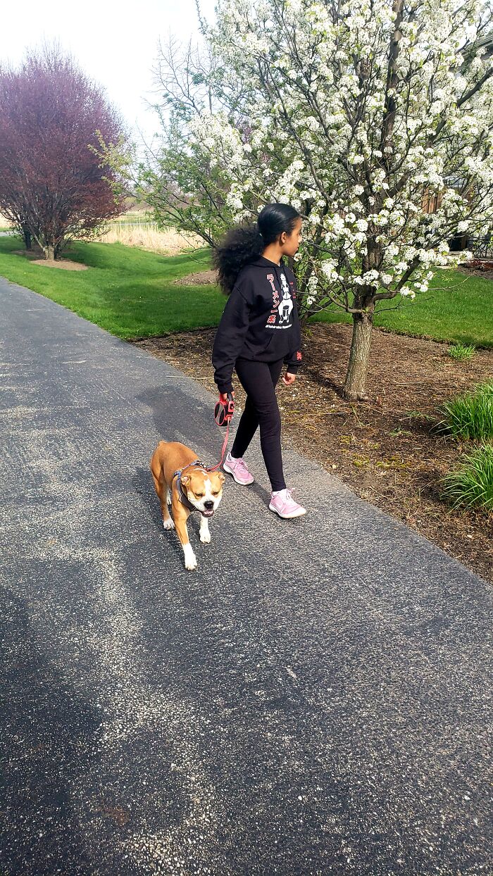 Hey Pandas, Post A Photo That You’ve Taken Of Your Favorite Type Of Flower (Closed) Hey Pandas, Post A Photo That You’ve Taken Of Your Favorite Type Of Flower (Closed)