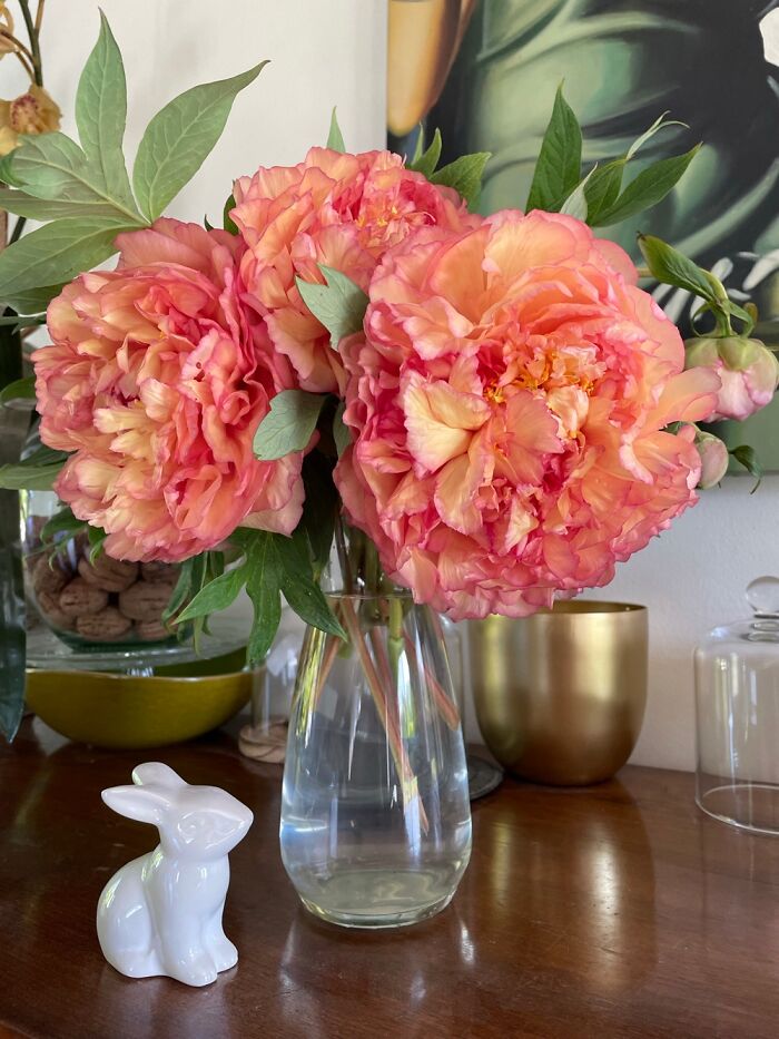 Hey Pandas, Post A Photo That You’ve Taken Of Your Favorite Type Of Flower (Closed) Hey Pandas, Post A Photo That You’ve Taken Of Your Favorite Type Of Flower (Closed)