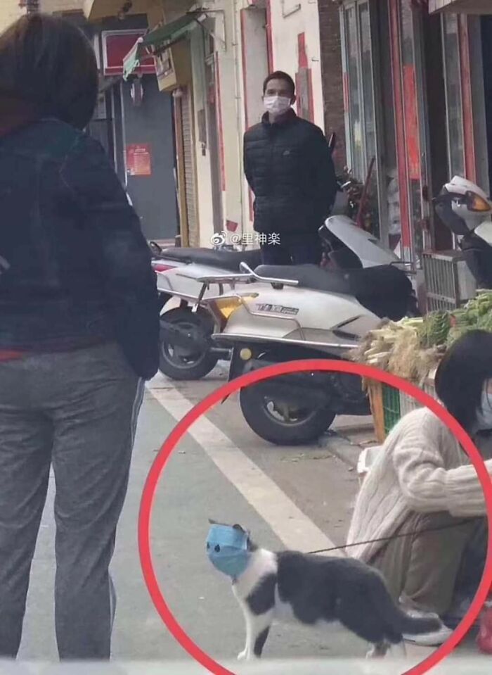 50 Weird Animal Photos That “Cannot Be Explained” 50 Weird Animal Photos That “Cannot Be Explained”