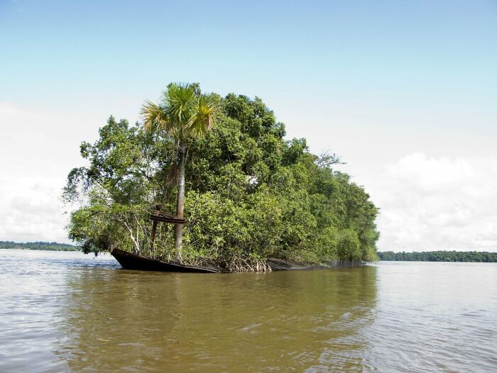 This Group Is All About The Fear Of Submerged Man-Made Objects, And Here Are 30 Of The Scariest Pics That Will Make You Want To Swim Away This Group Is All About The Fear Of Submerged Man-Made Objects, And Here Are 30 Of The Scariest Pics That Will Make You Want To Swim Away