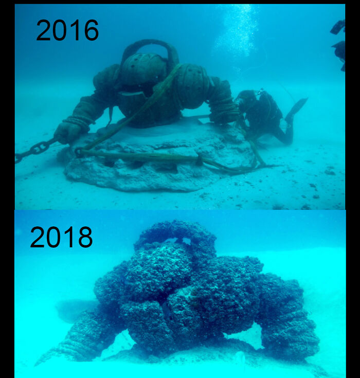 This Group Is All About The Fear Of Submerged Man-Made Objects, And Here Are 30 Of The Scariest Pics That Will Make You Want To Swim Away This Group Is All About The Fear Of Submerged Man-Made Objects, And Here Are 30 Of The Scariest Pics That Will Make You Want To Swim Away