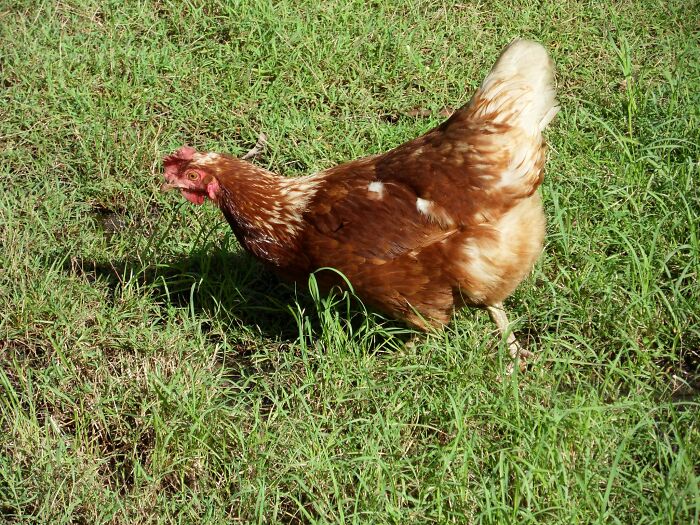 People Are Sharing “Cheat Codes” For The Game Of Life, And Here Are 35 Of The Best Ones People Are Sharing “Cheat Codes” For The Game Of Life, And Here Are 35 Of The Best Ones