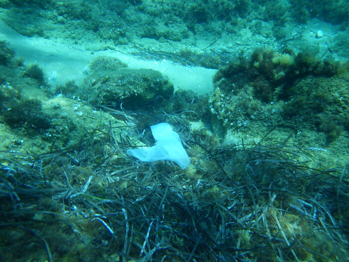 Person Invites People To Share The Saddest Facts They Know And Boy, Do They Deliver (40 Pics) Person Invites People To Share The Saddest Facts They Know And Boy, Do They Deliver (40 Pics)