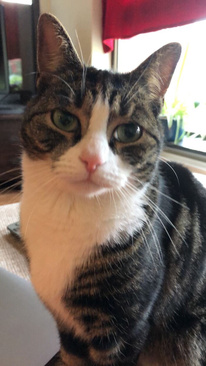 Hey Pandas, What Is Your Pets Name, And Who Or What Are They Named After? (Closed) Hey Pandas, What Is Your Pets Name, And Who Or What Are They Named After? (Closed)