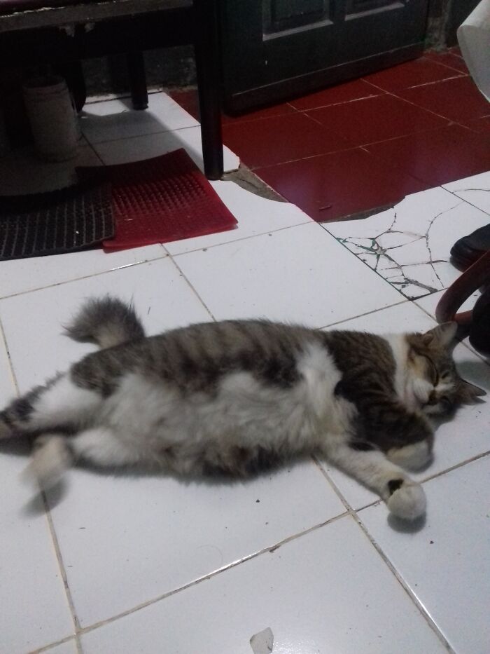 Hey Pandas, What Is Your Pets Name, And Who Or What Are They Named After? (Closed) Hey Pandas, What Is Your Pets Name, And Who Or What Are They Named After? (Closed)