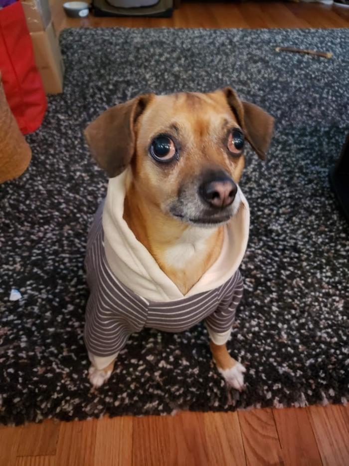 Hey Pandas, What Is Your Pets Name, And Who Or What Are They Named After? (Closed) Hey Pandas, What Is Your Pets Name, And Who Or What Are They Named After? (Closed)