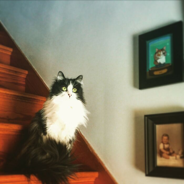 Hey Pandas, What Is Your Pets Name, And Who Or What Are They Named After? (Closed) Hey Pandas, What Is Your Pets Name, And Who Or What Are They Named After? (Closed)