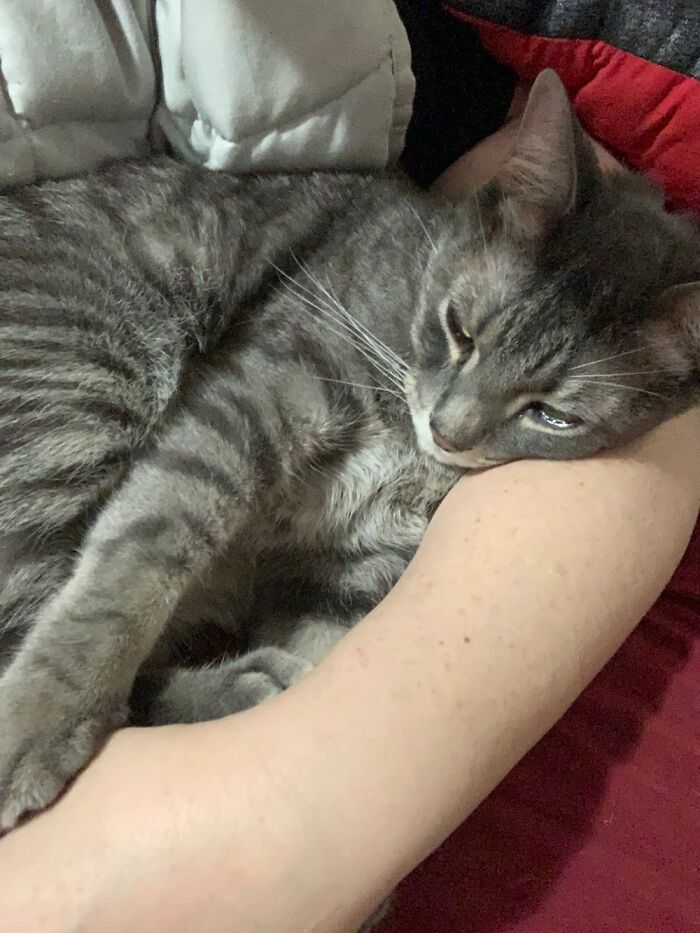 Hey Pandas, What Is Your Pets Name, And Who Or What Are They Named After? (Closed) Hey Pandas, What Is Your Pets Name, And Who Or What Are They Named After? (Closed)