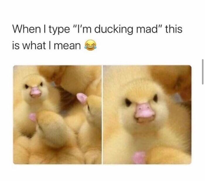 Hey Pandas, What Is Your Pets Name, And Who Or What Are They Named After? (Closed) Hey Pandas, What Is Your Pets Name, And Who Or What Are They Named After? (Closed)