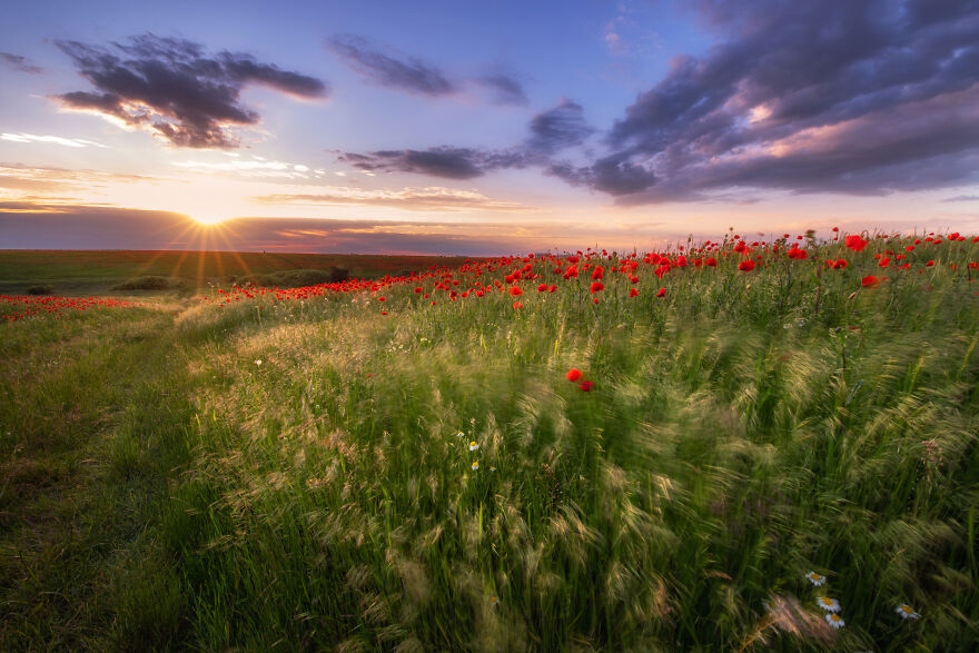 I Found The Red Wonderland 15 Minutes From My Home I Found The Red Wonderland 15 Minutes From My Home