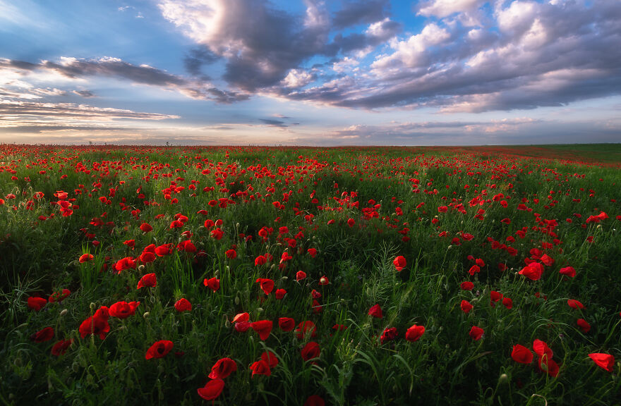 I Found The Red Wonderland 15 Minutes From My Home I Found The Red Wonderland 15 Minutes From My Home