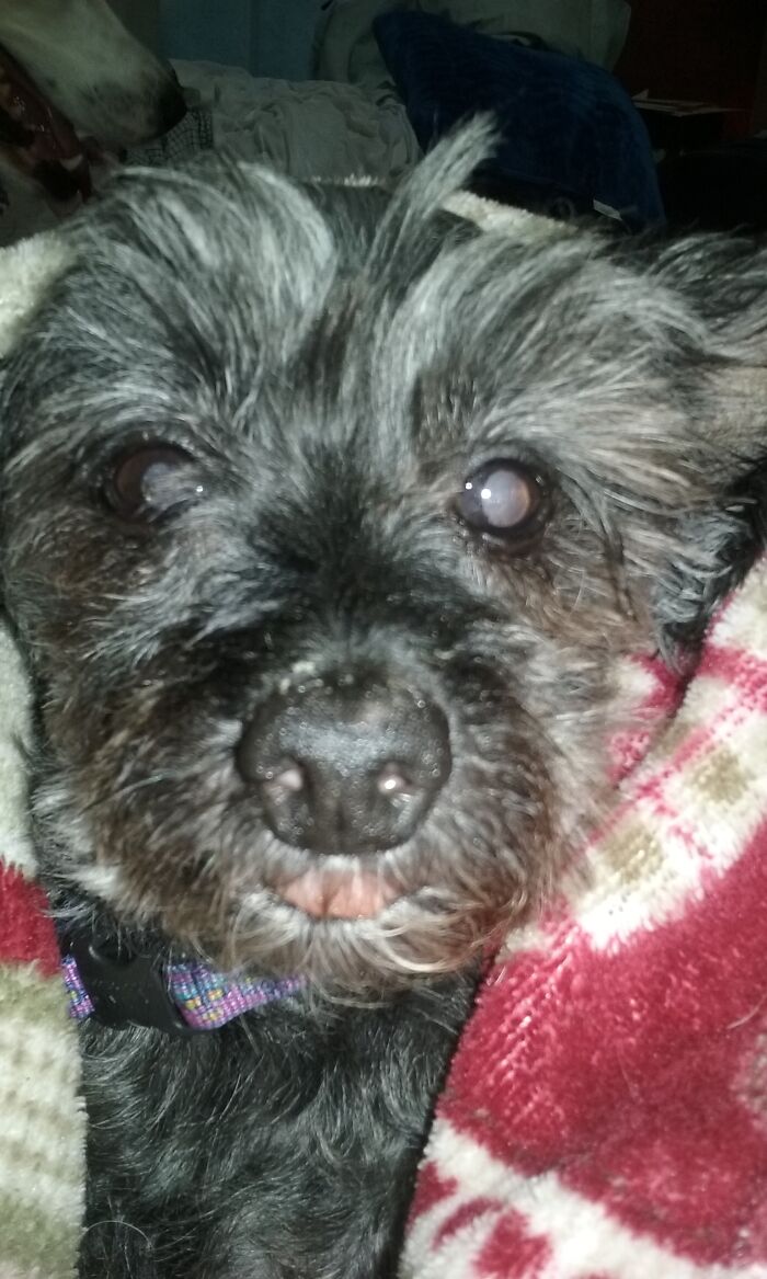 Hey Pandas, Post The Most Recent Image You’ve Saved Onto Your Device (Closed) Hey Pandas, Post The Most Recent Image You’ve Saved Onto Your Device (Closed)