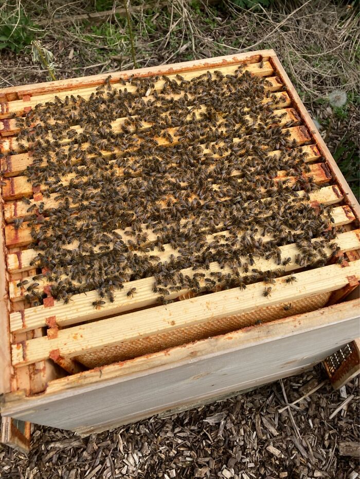 Hey Pandas, Post The Most Recent Image You’ve Saved Onto Your Device (Closed) Hey Pandas, Post The Most Recent Image You’ve Saved Onto Your Device (Closed)