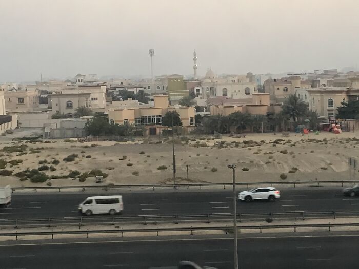 Hey Pandas, Post The Most Recent Image You’ve Saved Onto Your Device (Closed) Hey Pandas, Post The Most Recent Image You’ve Saved Onto Your Device (Closed)