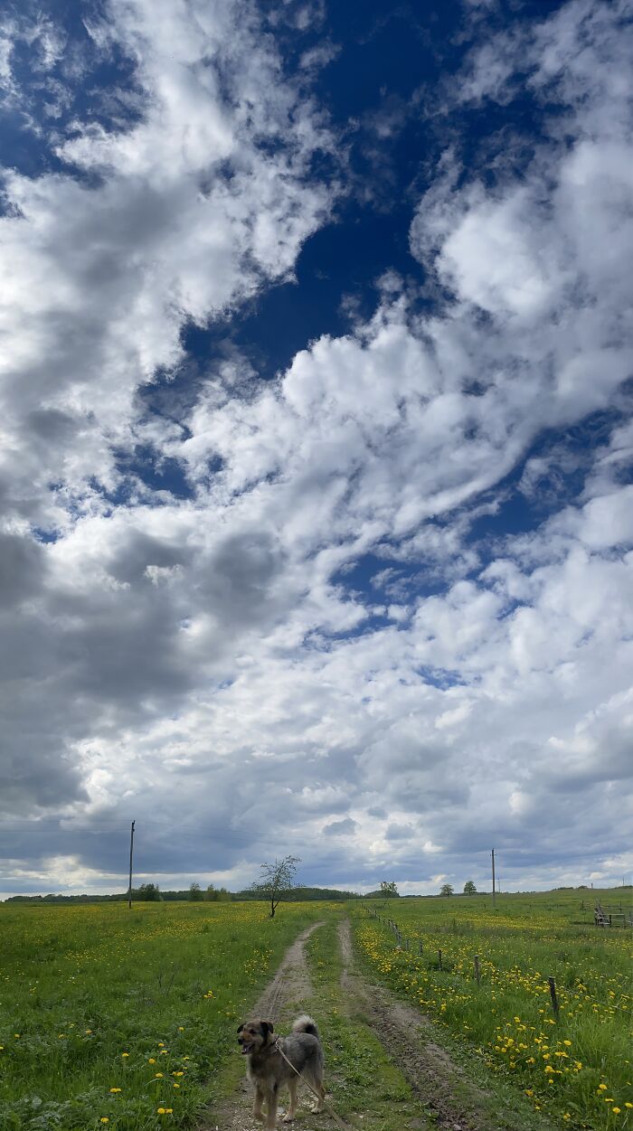 Hey Pandas, Share The Best Blue Sky Photo You’ve Ever Taken (Closed) Hey Pandas, Share The Best Blue Sky Photo You’ve Ever Taken (Closed)