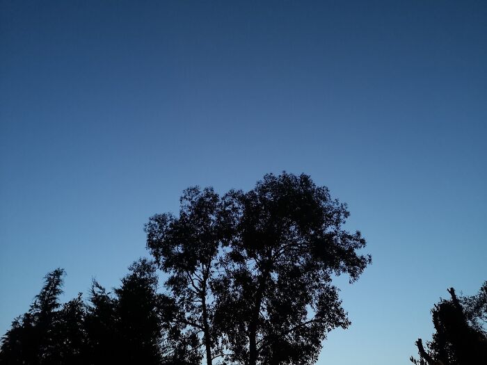 Hey Pandas, Share The Best Blue Sky Photo You’ve Ever Taken (Closed) Hey Pandas, Share The Best Blue Sky Photo You’ve Ever Taken (Closed)