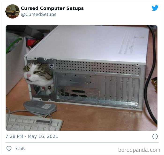 30 Times People Had Such Terrible Computer Setups, They Could Only Be Described As ‘Cursed’, As Shared By This Twitter Account 30 Times People Had Such Terrible Computer Setups, They Could Only Be Described As ‘Cursed’, As Shared By This Twitter Account