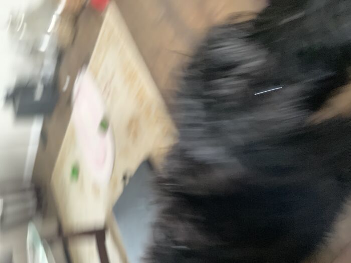 Hey Pandas, Post A Photo Of Your Animal Looking Odd (Closed) Hey Pandas, Post A Photo Of Your Animal Looking Odd (Closed)