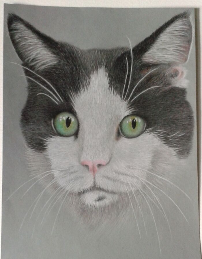 Hey Pandas, Draw Something Realistic (Closed) Hey Pandas, Draw Something Realistic (Closed)