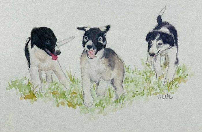 Hey Pandas, Draw Something Realistic (Closed) Hey Pandas, Draw Something Realistic (Closed)