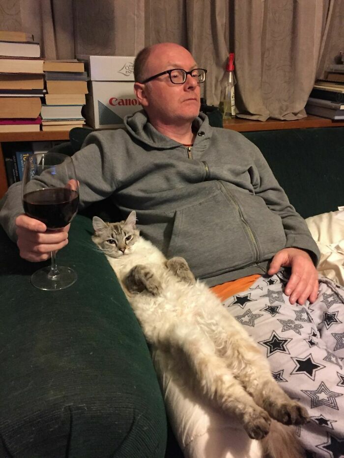 45 Times Cats Malfunctioned And Their Owners Just Had To Document It Online (New Pics) 45 Times Cats Malfunctioned And Their Owners Just Had To Document It Online (New Pics)