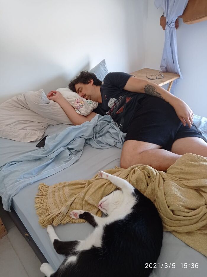 45 Times Cats Malfunctioned And Their Owners Just Had To Document It Online (New Pics) 45 Times Cats Malfunctioned And Their Owners Just Had To Document It Online (New Pics)