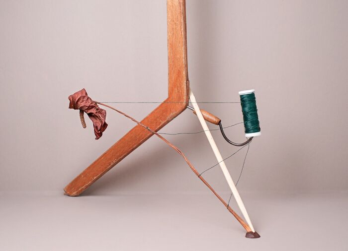 I Captured Still Life In My Photos