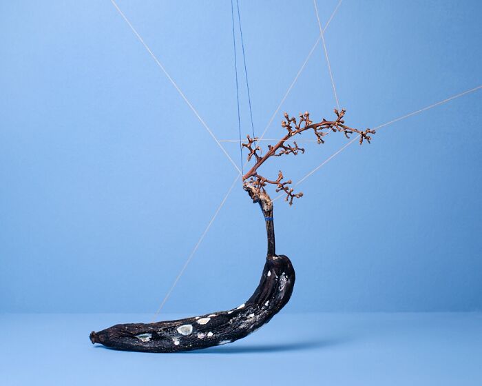 I Captured Still Life In My Photos