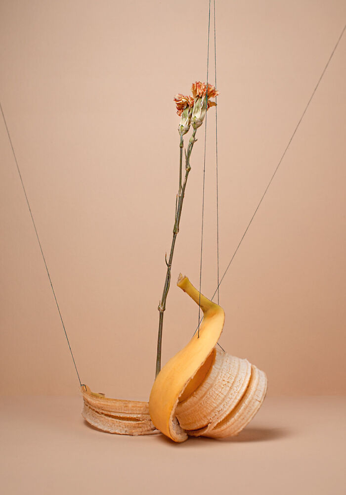 I Captured Still Life In My Photos