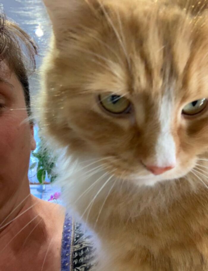 Hey Pandas, Post The Funniest Pictures Of Your Pets (Closed)